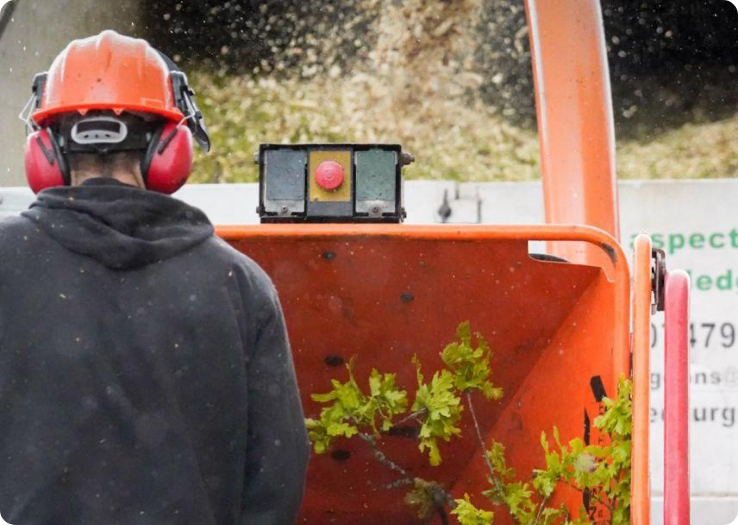 man operating the stump grinder