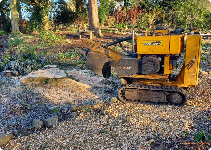 stump grinder